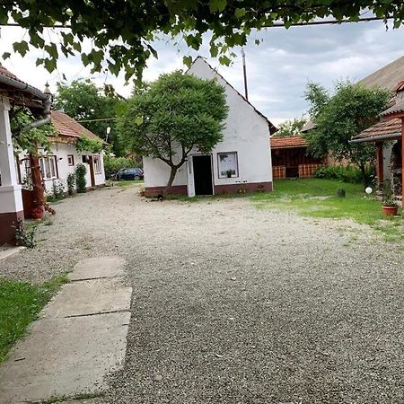 Hotel Casa Mari Cîrţişoara Exterior foto