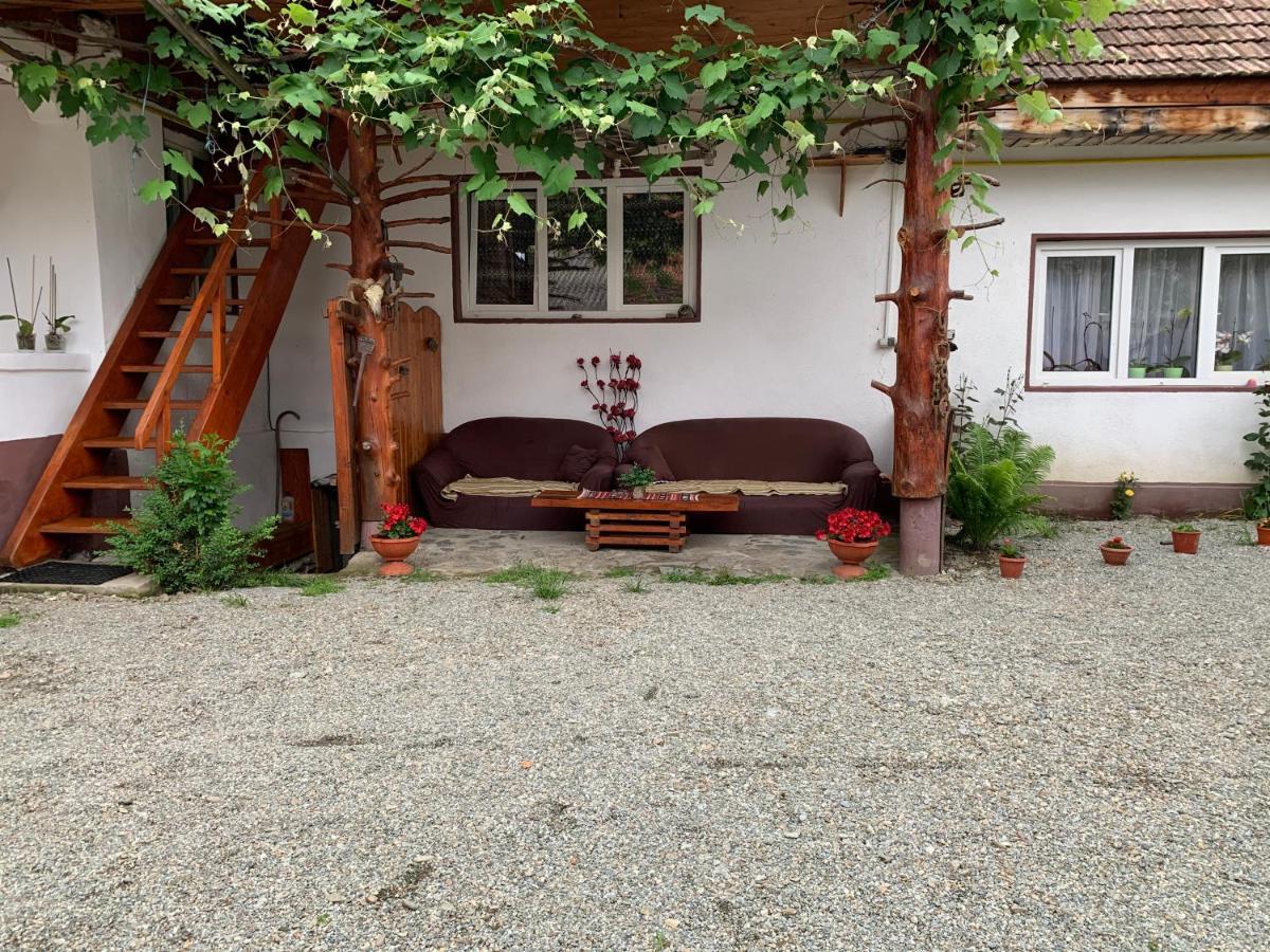 Hotel Casa Mari Cîrţişoara Exterior foto