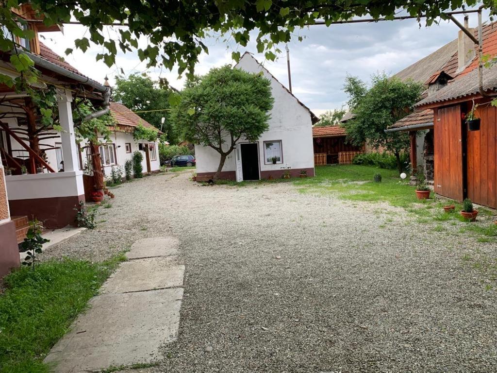 Hotel Casa Mari Cîrţişoara Exterior foto